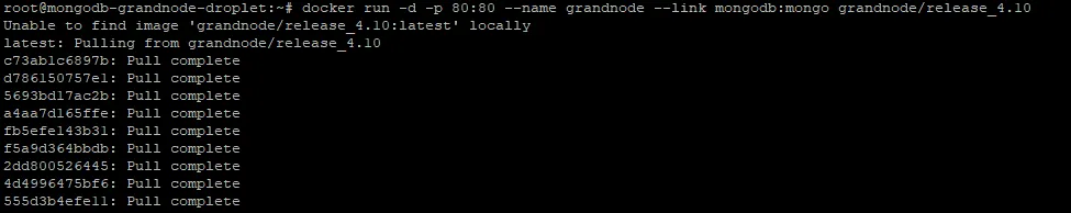 Docker run GrandNode