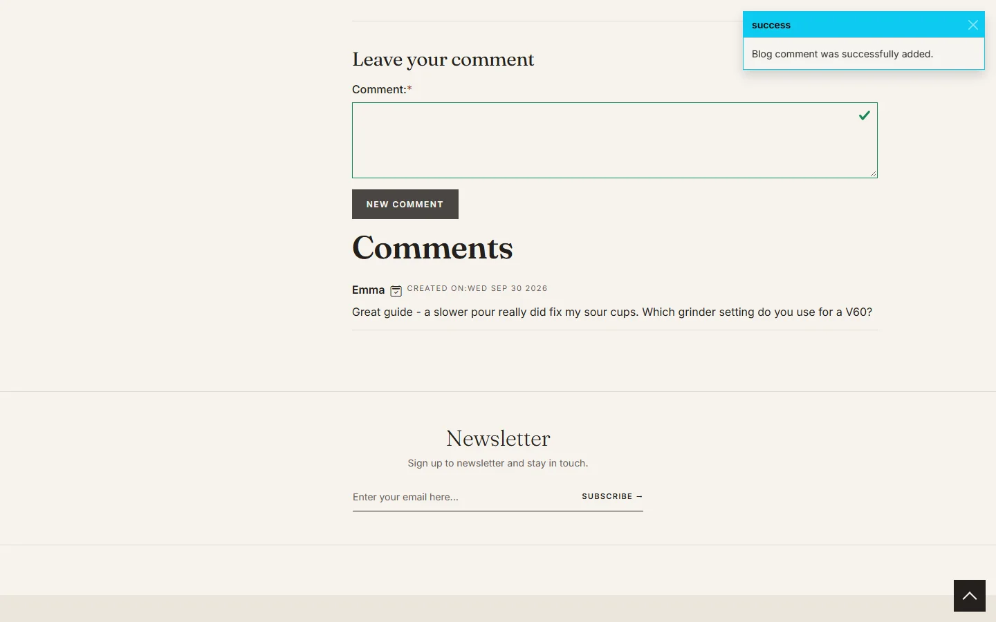 The comment form and the Comments section under a blog post on the storefront, with a success message