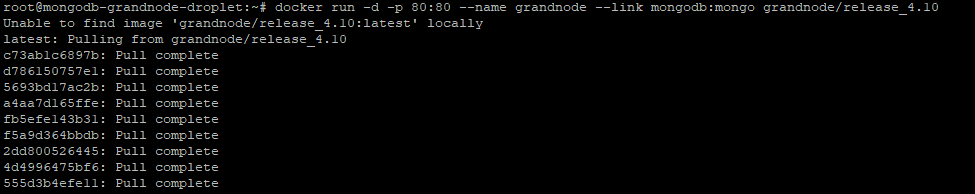 Docker run GrandNode